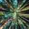 This image for Image Layouts addon